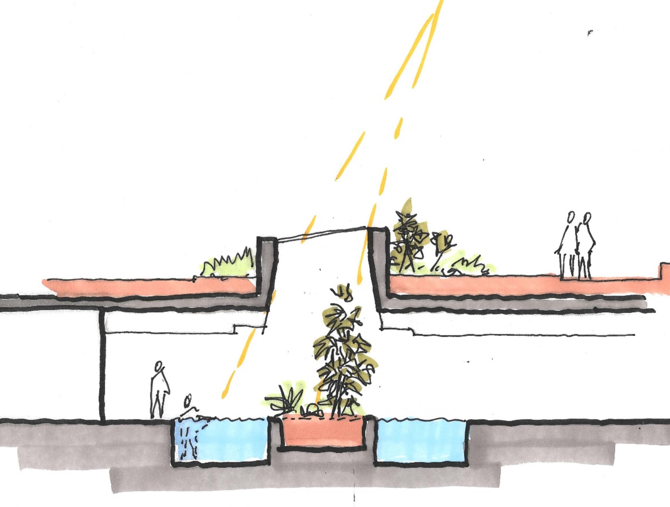 Illustration of water feature with plants and people interacting